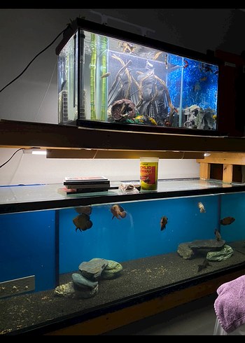 160 CM AKVARYUM - Görsel 2