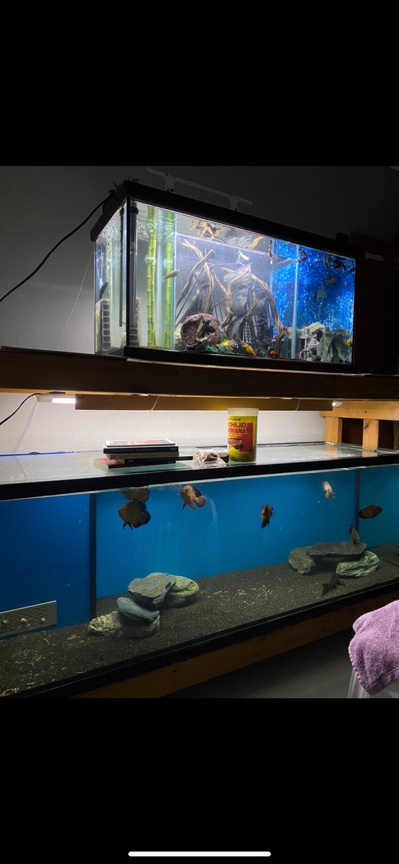 160 CM AKVARYUM - Görsel 2