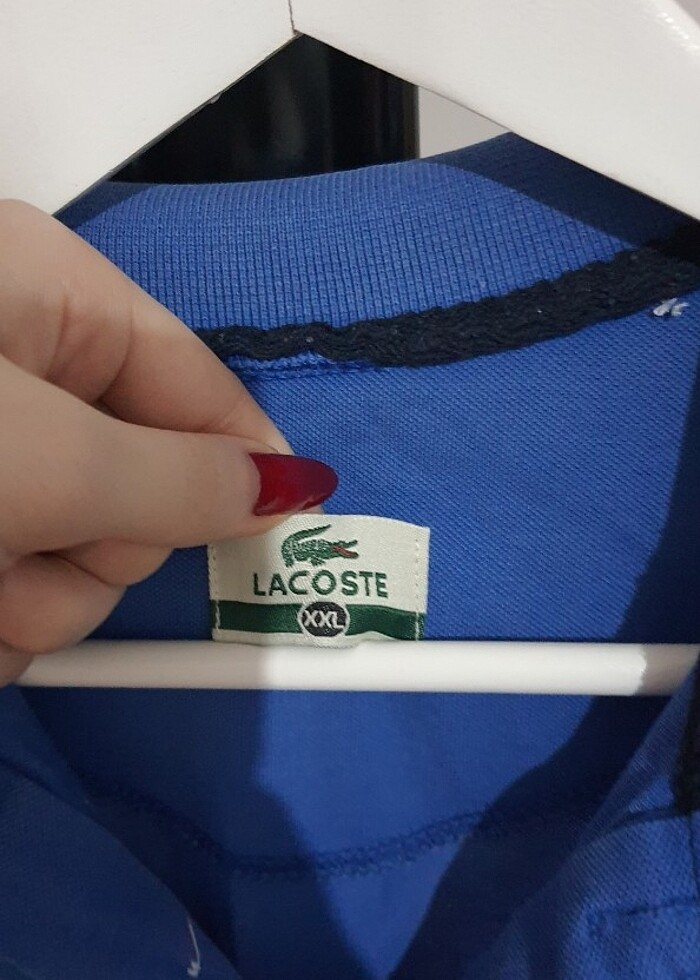 Lacoste Puantiyeli Mavi Polo Yaka Tshirt - Görsel 4