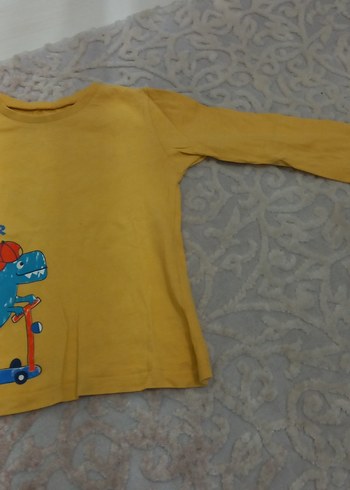 Sarı Uzun Kollu Erkek Tişört Dinozor Baskılı - Görsel 3