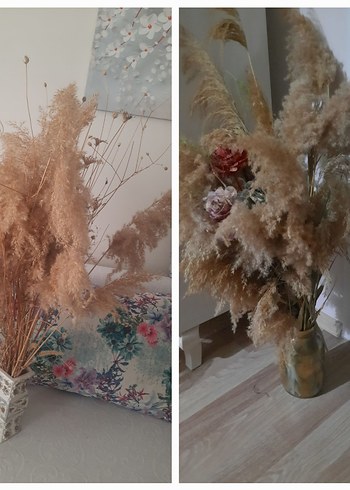 Bej Pastel Vazo pampas çiçekler hepsi