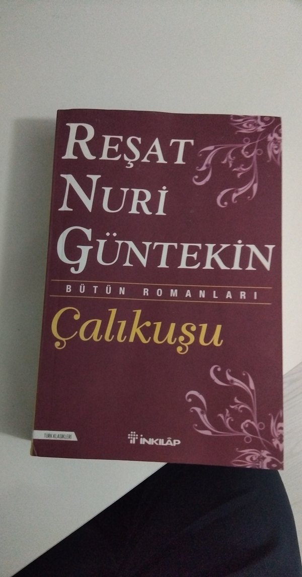 Çalıkuşu - Reşat Nuri Güntekin Bütün Romanları - Görsel 3