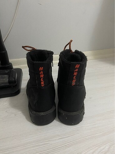 37 Beden Harley davidson bot