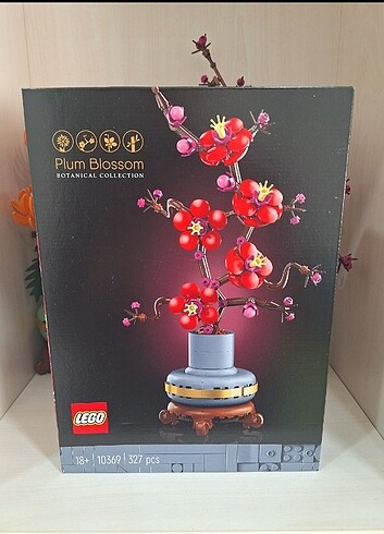 Lego 10369 Erik Çiçeği