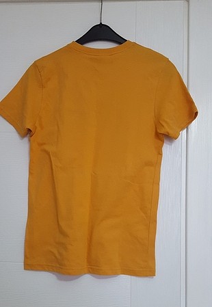 m Beden turuncu Renk ed hardy t-shirt