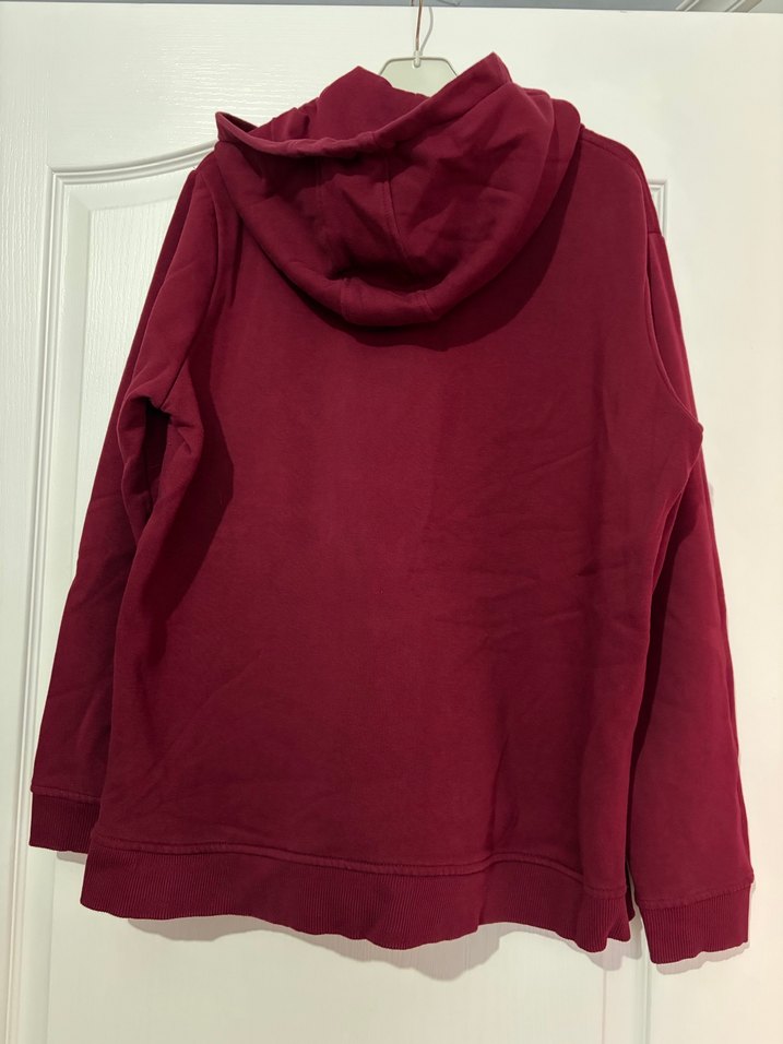 Bordo USPA Kapüşonlu Sweatshirt - Görsel 3