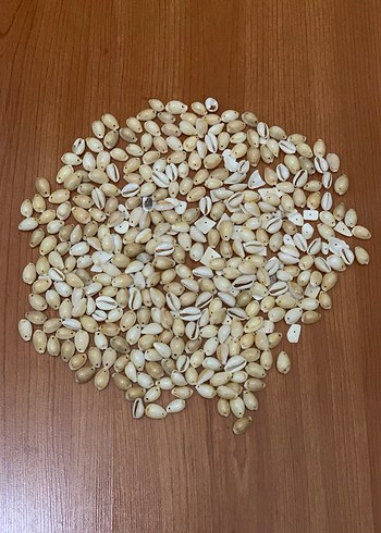 Beyaz Deniz Kabukları ve Mavi Boncuklar - Görsel 2