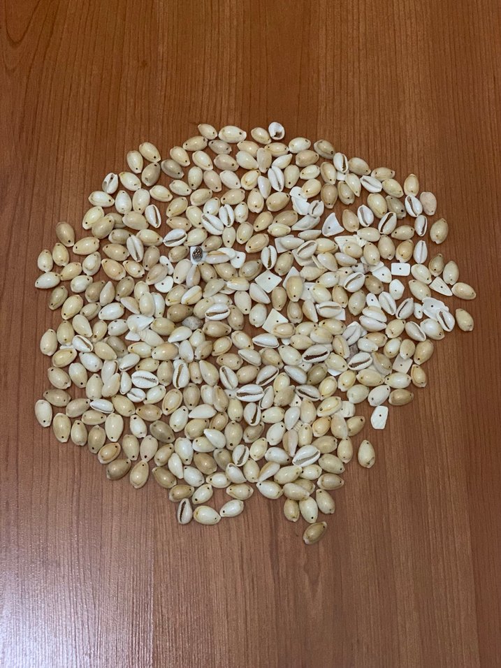 Beyaz Deniz Kabukları ve Mavi Boncuklar - Görsel 2