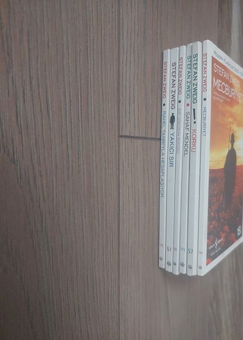 Stefan Zweigteklifi fiyatıdır - Görsel 3