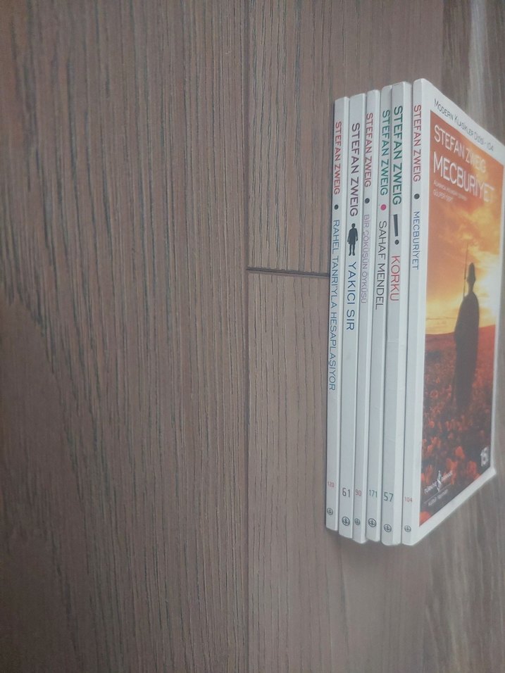 Stefan Zweigteklifi fiyatıdır - Görsel 3