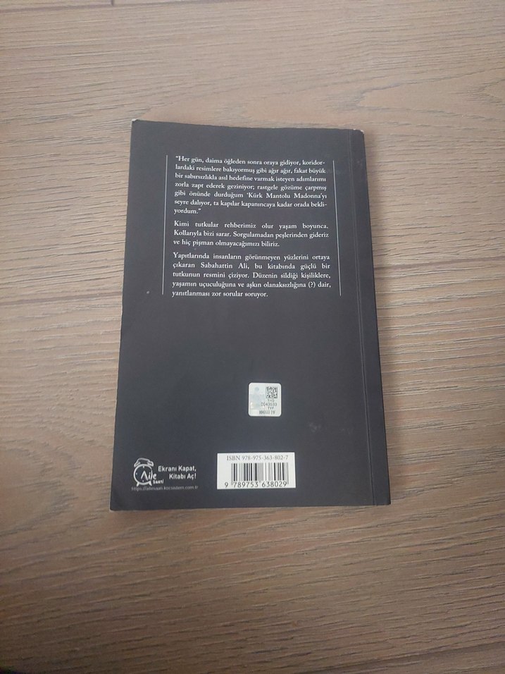 Kürk Mantolu Madonna - Sabahattin Ali - Görsel 2