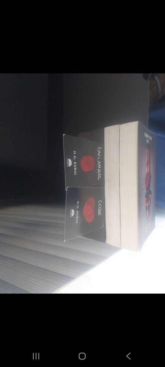 N.G. Kabal'dan Saklambaç Sobe Romanı 2 li set - Görsel 2