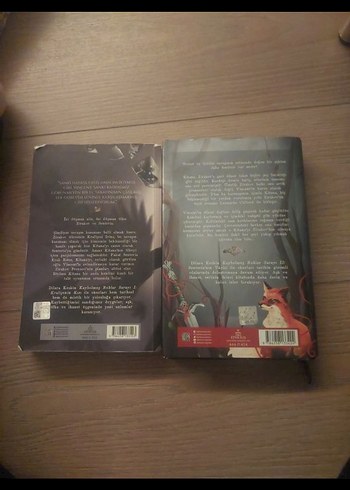 Kaybolmuş Ruhlar Sarayı Roman 2 li Seti - Görsel 2