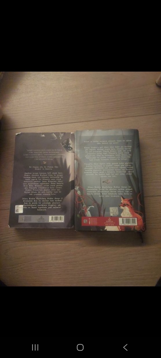 Kaybolmuş Ruhlar Sarayı Roman 2 li Seti - Görsel 2