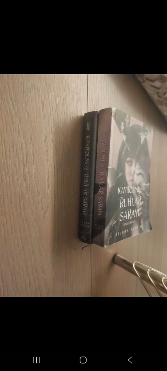 Kaybolmuş Ruhlar Sarayı Roman 2 li Seti - Görsel 3