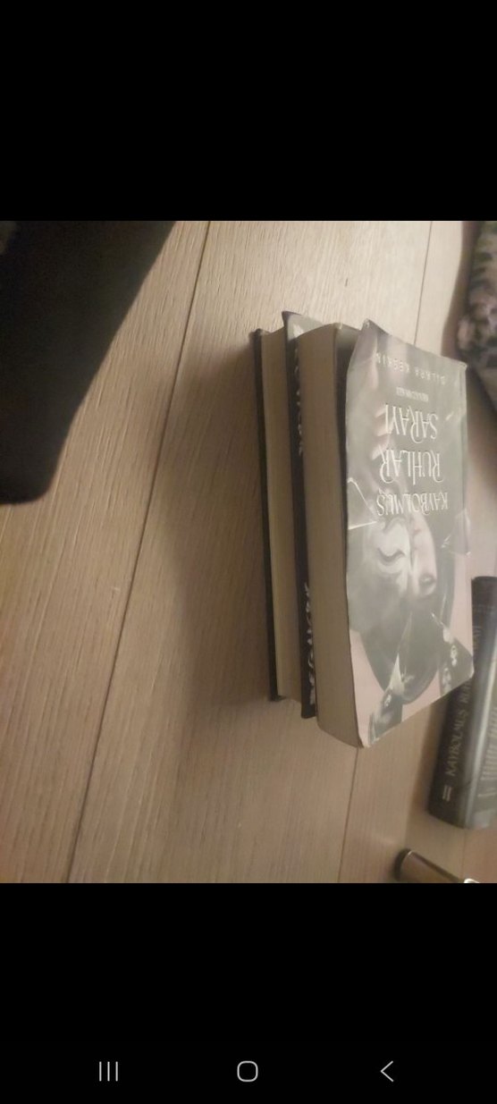 Kaybolmuş Ruhlar Sarayı Roman 2 li Seti - Görsel 4