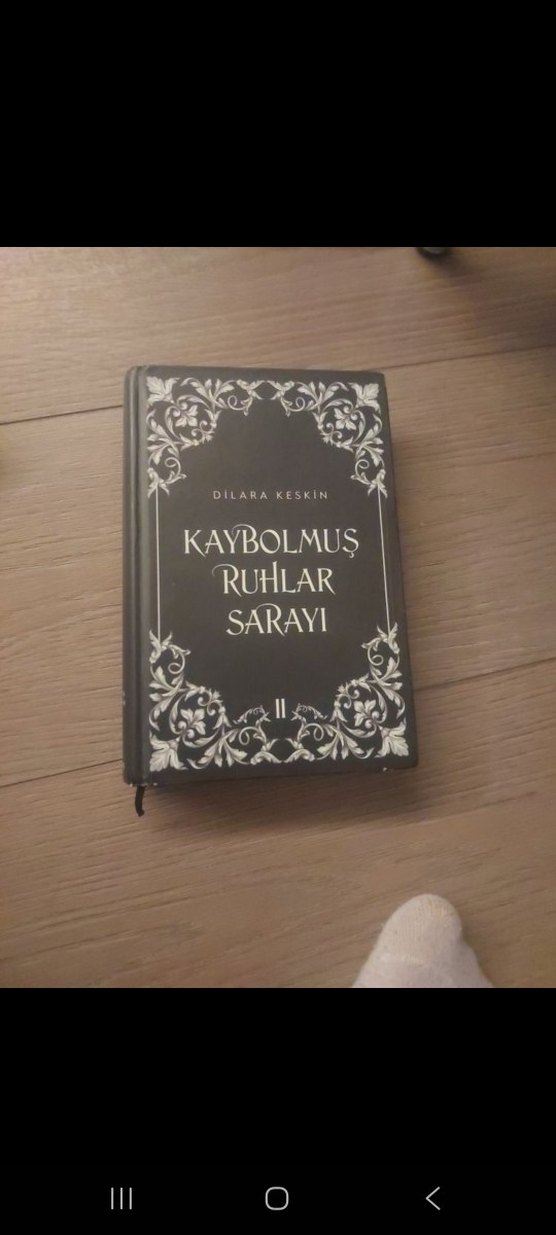 Kaybolmuş Ruhlar Sarayı Roman 2 li Seti - Görsel 5