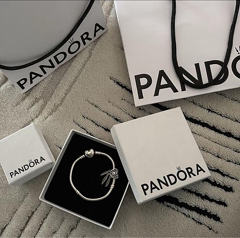 Pandora pandora