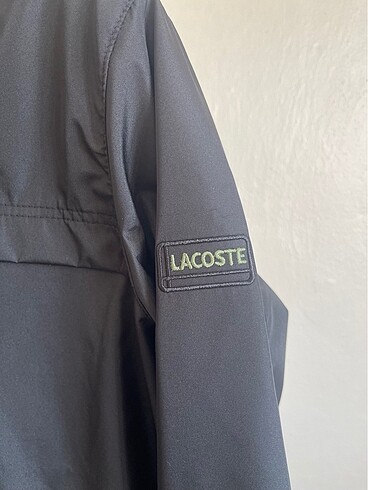 m Beden Lacoste Erkek Mevsimlik Ceket Mont