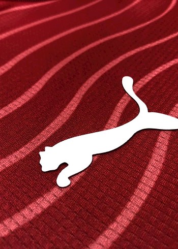 Portekiz Ronaldo Forma - Görsel 7