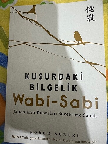 Kusurdaki bilgelik wabi sabi