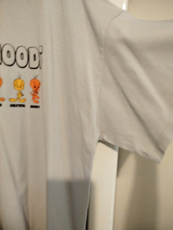 Gri Baskılı Kadın Tişört - Görsel 4