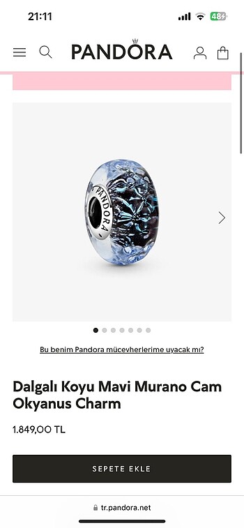 Pandora pandora charm