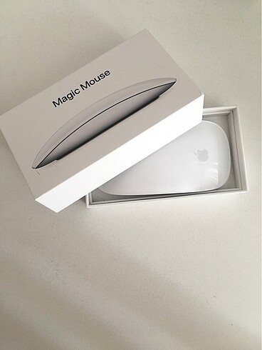 Apple Apple Mouse