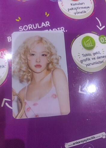 35,5 Beden Rose pc