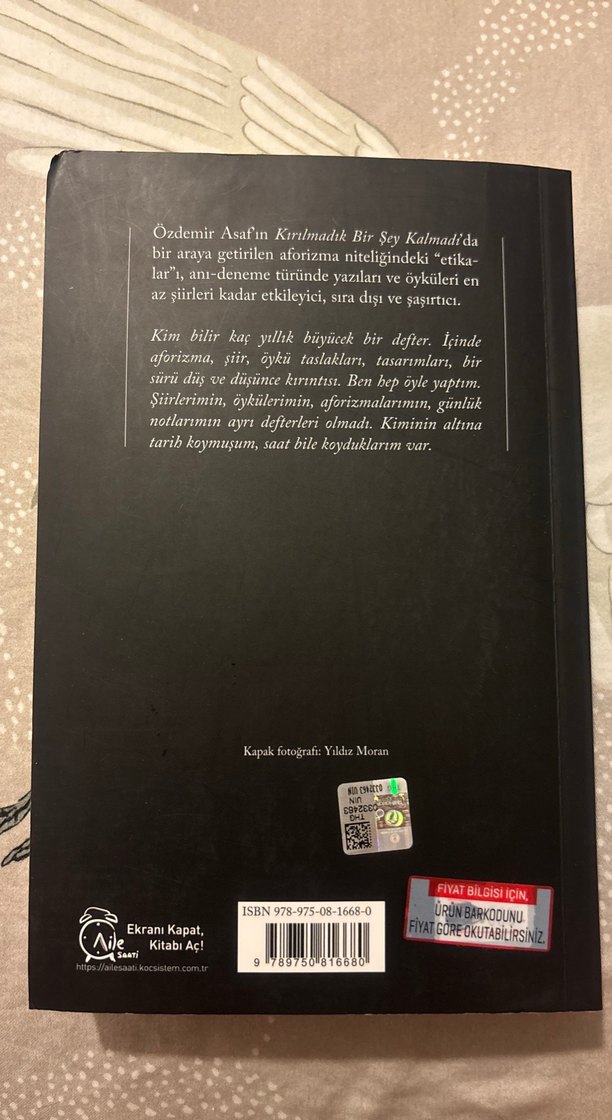 Kırılmadık Bir Şey Kalmadı - Özdemir Asaf - Görsel 2