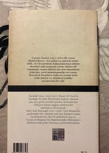 Madame Bovary - Gustave Flaubert - Görsel 2