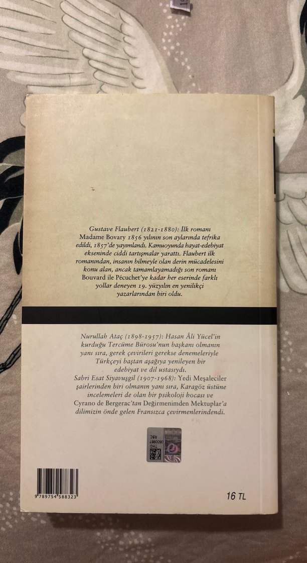 Madame Bovary - Gustave Flaubert - Görsel 2