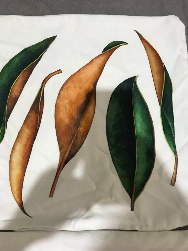 4 ADET FERMUARLI KIRLENT KILIFI - Görsel 3