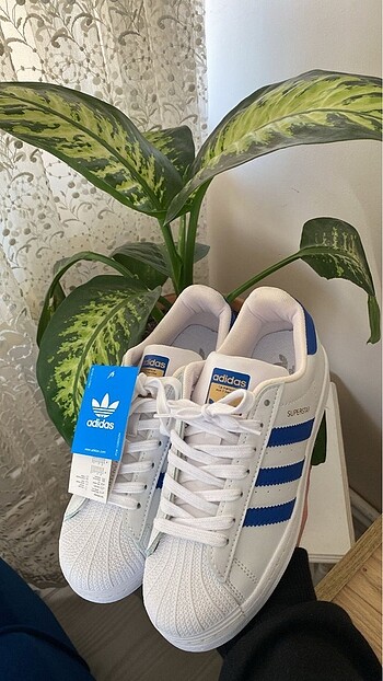 Adidas süperstar