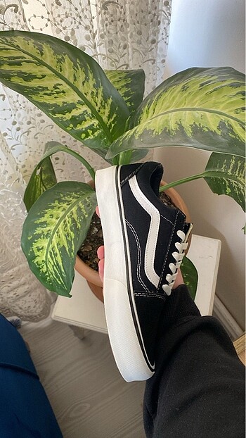 42 Beden Vans old skool