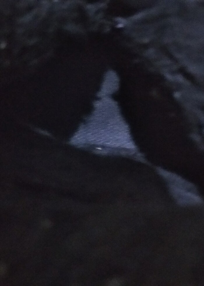 Kız çocuk bot - Görsel 5