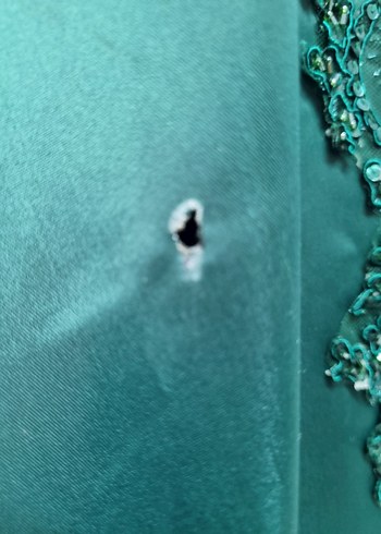 Nakışlı Drapeli Uzun Abiye Elbise - Görsel 9