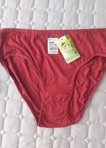 Bambu Kumaş Bordo Kadın Külot 3XL - Görsel 3
