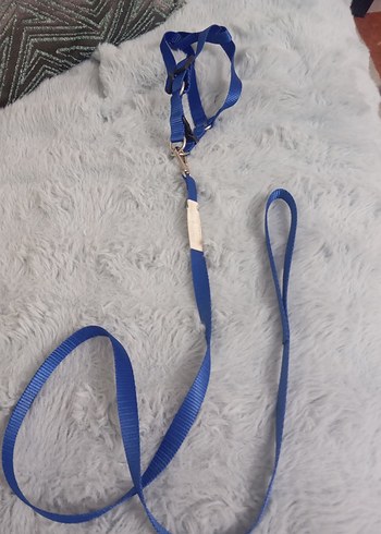 Polo prestıge Köpek Gezdirme Tasması 4 mt - Görsel 4