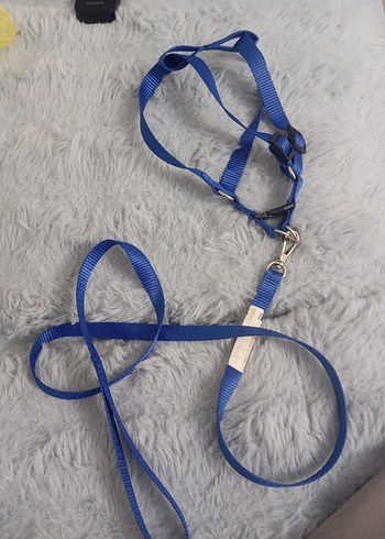 Polo prestıge Köpek Gezdirme Tasması 4 mt - Görsel 5