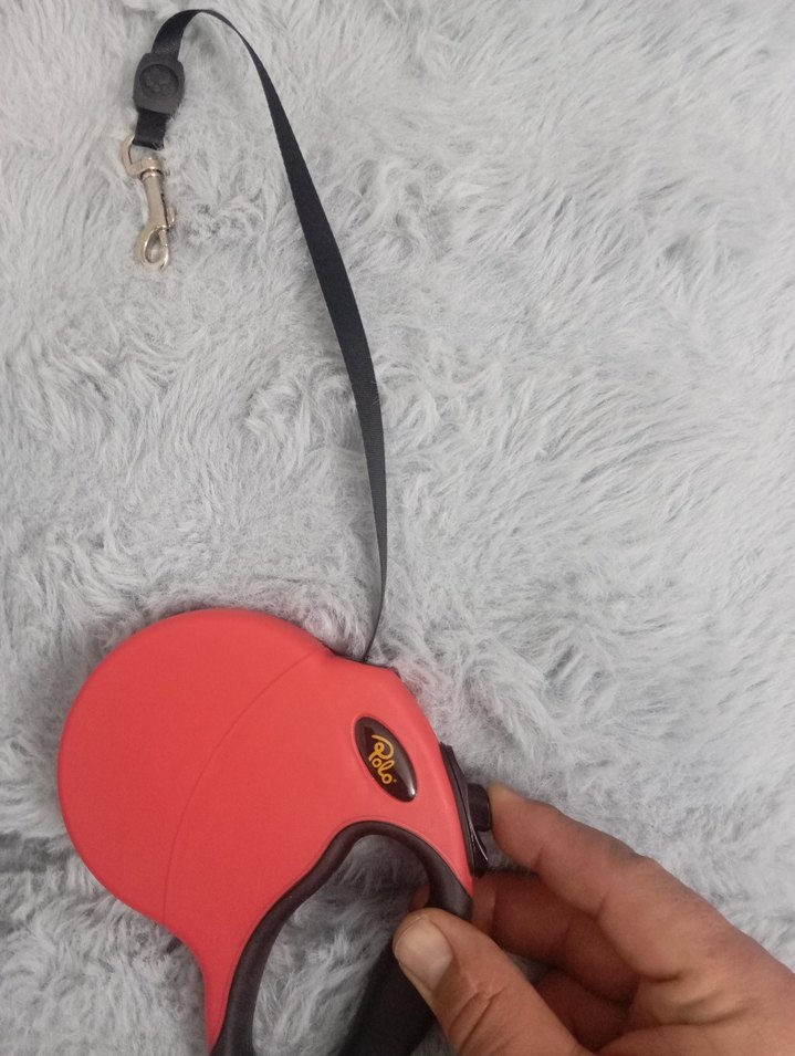 Polo prestıge Köpek Gezdirme Tasması 4 mt - Görsel 3