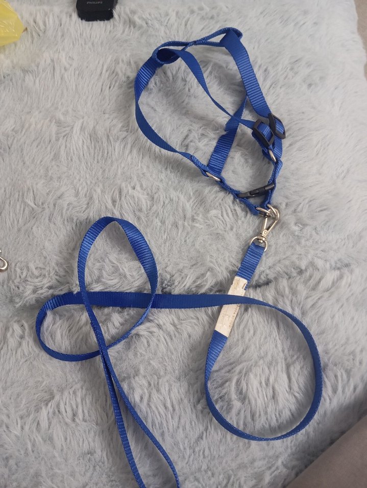 Polo prestıge Köpek Gezdirme Tasması 4 mt - Görsel 5