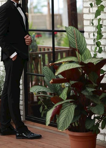 Düğün İçin Siyah Düğmeli Regular Fit Takım Elbise - Görsel 2