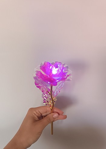 Işıklo Solmayan Tek Gül