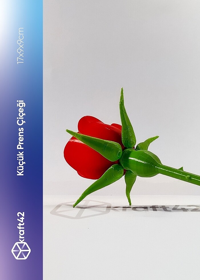 Küçük Prens Çiçeği | Demonte - Görsel 2