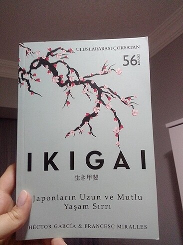 IKIGAI 2