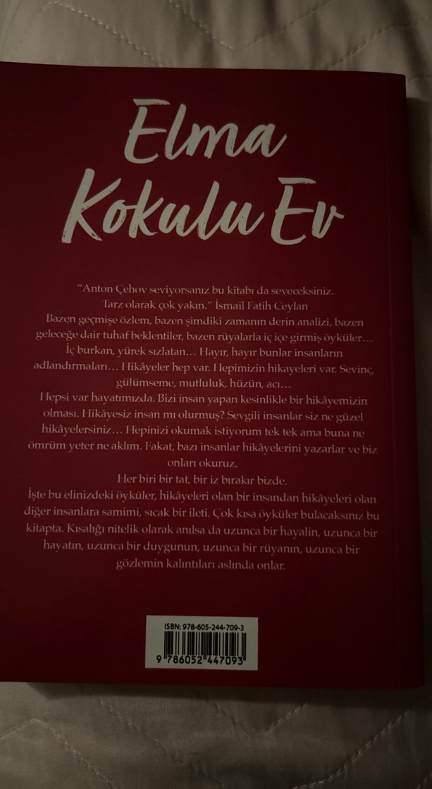 Elma Kokulu Ev - Mustafa Uysal - Görsel 2