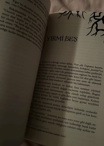 Kötülerin Krallığı - Kerri Maniscalco - Görsel 3