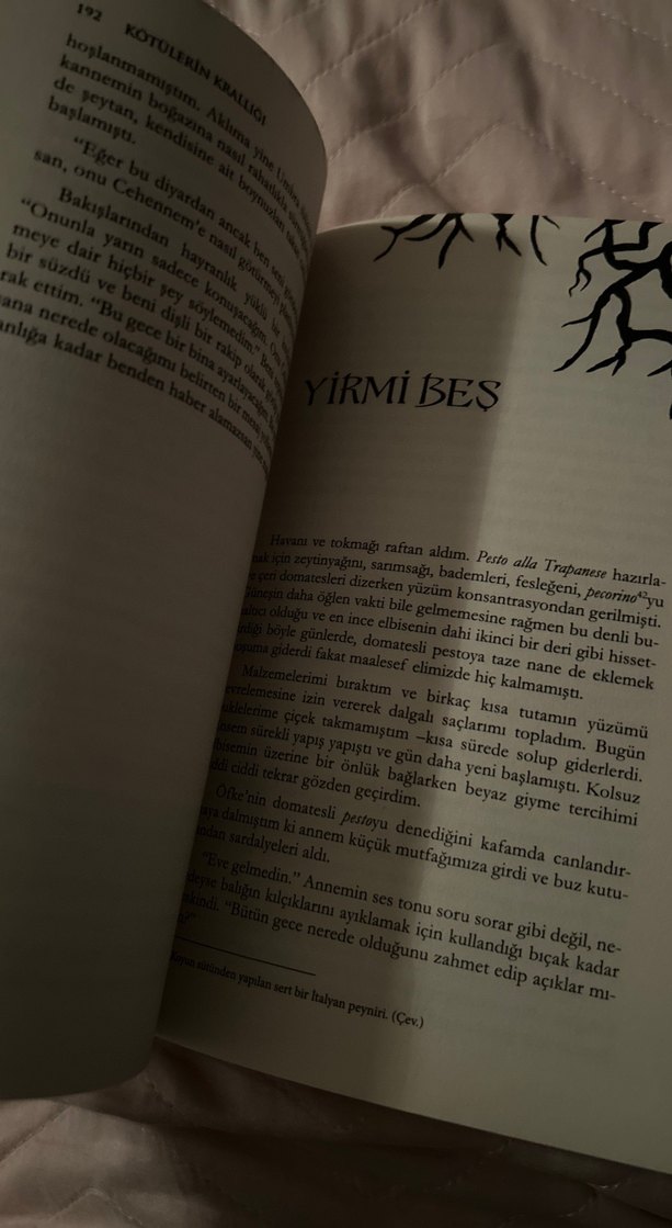 Kötülerin Krallığı - Kerri Maniscalco - Görsel 3