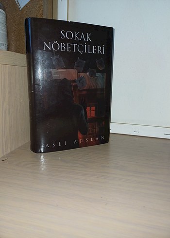 Sokak Nöbetçileri - Aslı Arslan